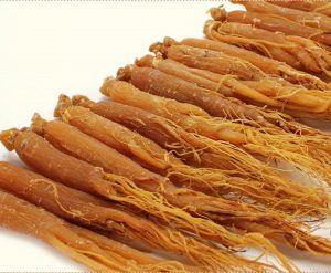 红参炖燕窝的功效