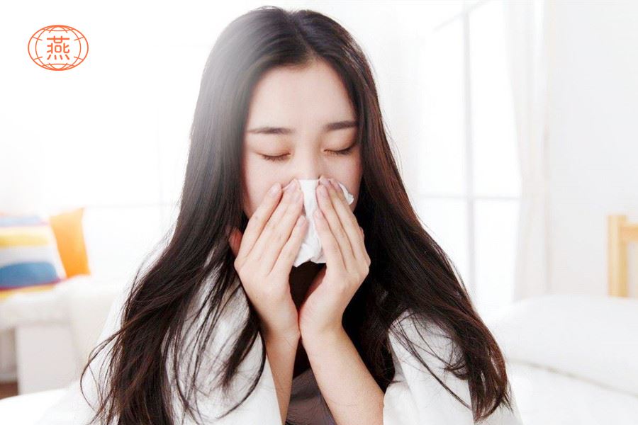 感冒发烧能吃燕窝吗