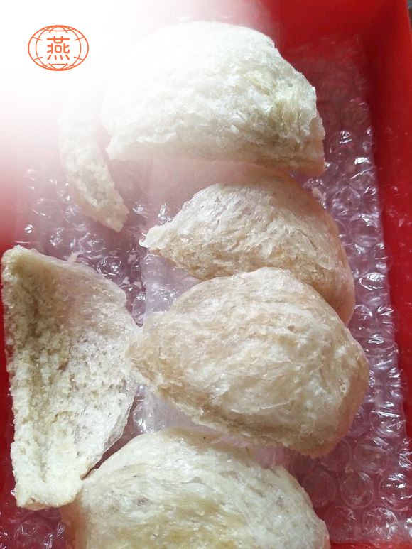 燕窝知识科普,燕窝鉴别经验分享