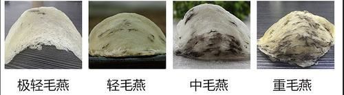 燕窝挑毛工艺干挑和湿挑的区别,值得收藏