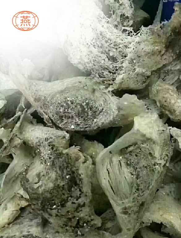 燕窝知识科普,燕窝鉴别经验分享