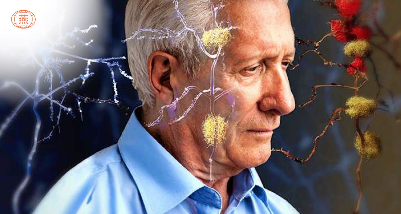 燕窝的现代药理学研究