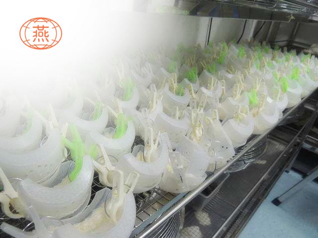 燕窝挑毛工艺干挑和湿挑的区别,值得收藏
