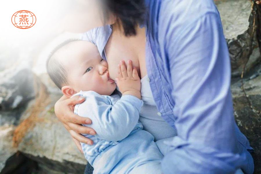 孕妇吃木瓜炖燕窝好不好