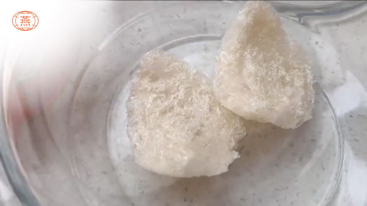 冰糖炖燕窝的做法视频