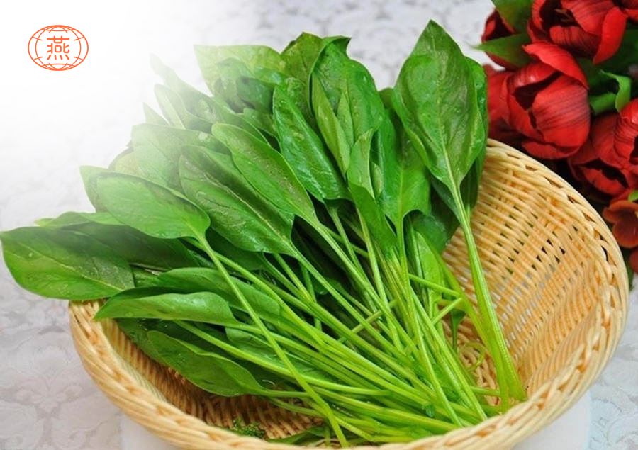 菠菜能和燕窝一起炖吗