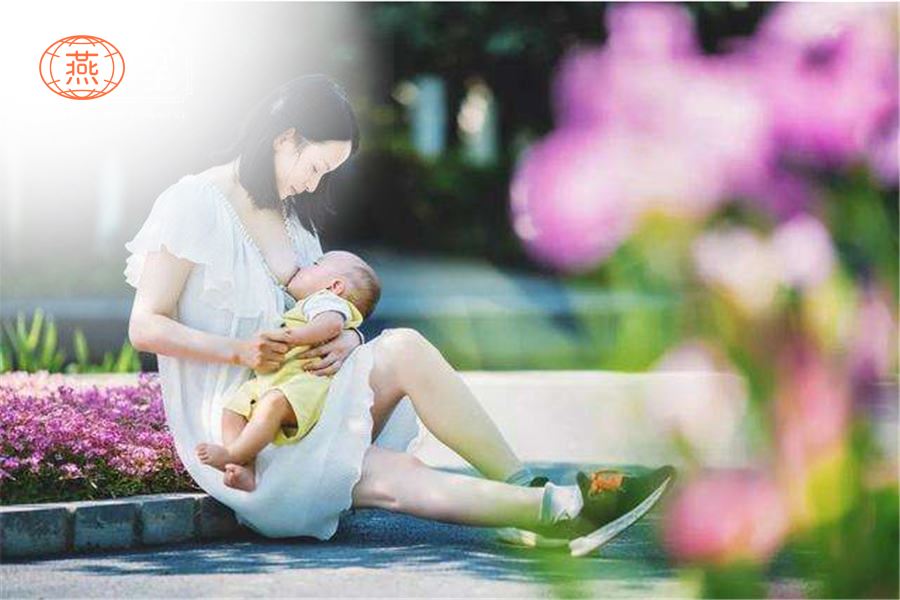 哺乳期喝燕窝的好处