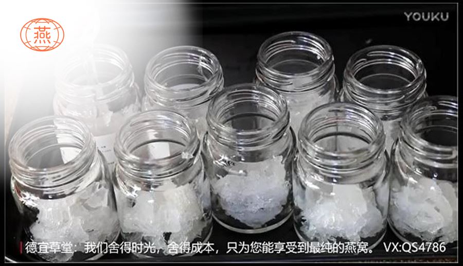 燕窝的泡发做法视频教程