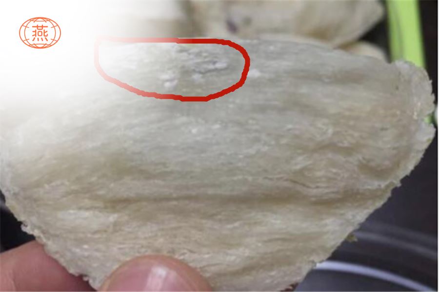 燕窝上有白点是发霉吗