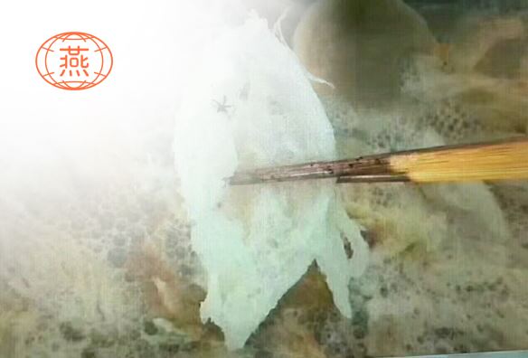 燕窝知识科普,燕窝鉴别经验分享