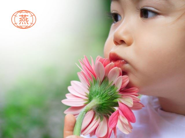 女孩吃<a href=http://www.xiandun.net/ target=_blank class=infotextkey>燕窝</a>会早熟吗?妈妈们担心的问题