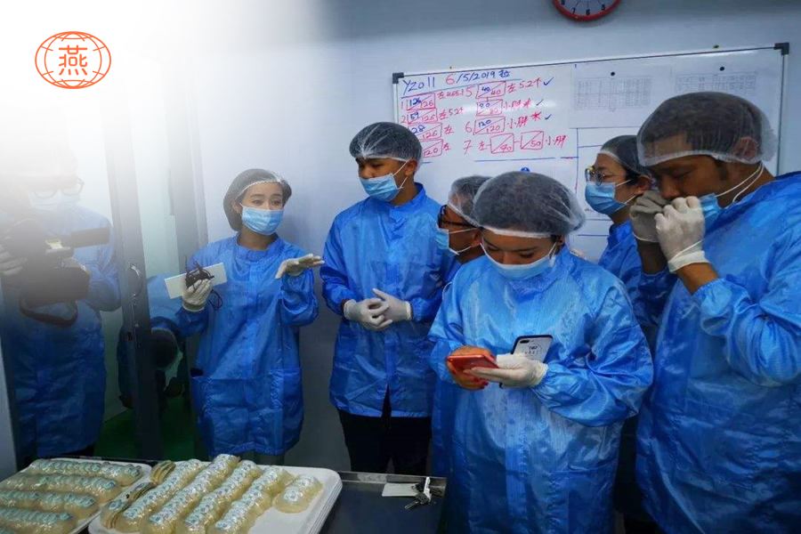 好的燕窝是什么颜色?白色并不一定是好的燕窝!