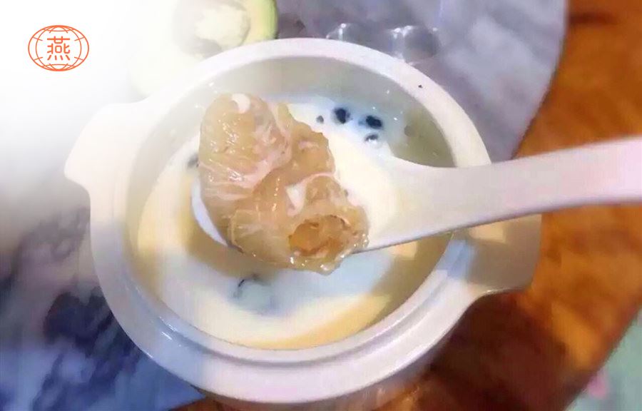 燕窝炖花胶的做法