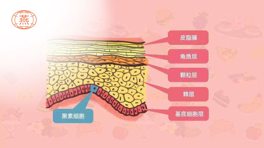 激光祛斑后能吃燕窝吗