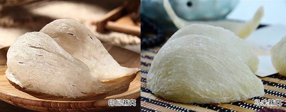 印尼燕窝和马来西亚燕窝的区别