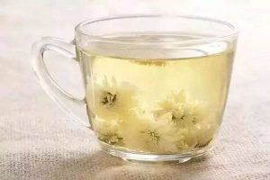 菊花炖燕窝的做法