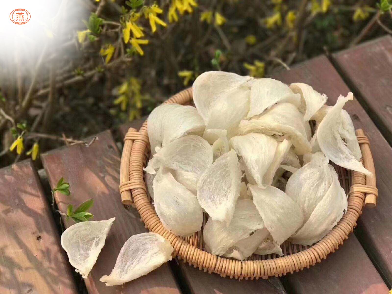正品燕窝是什么样的