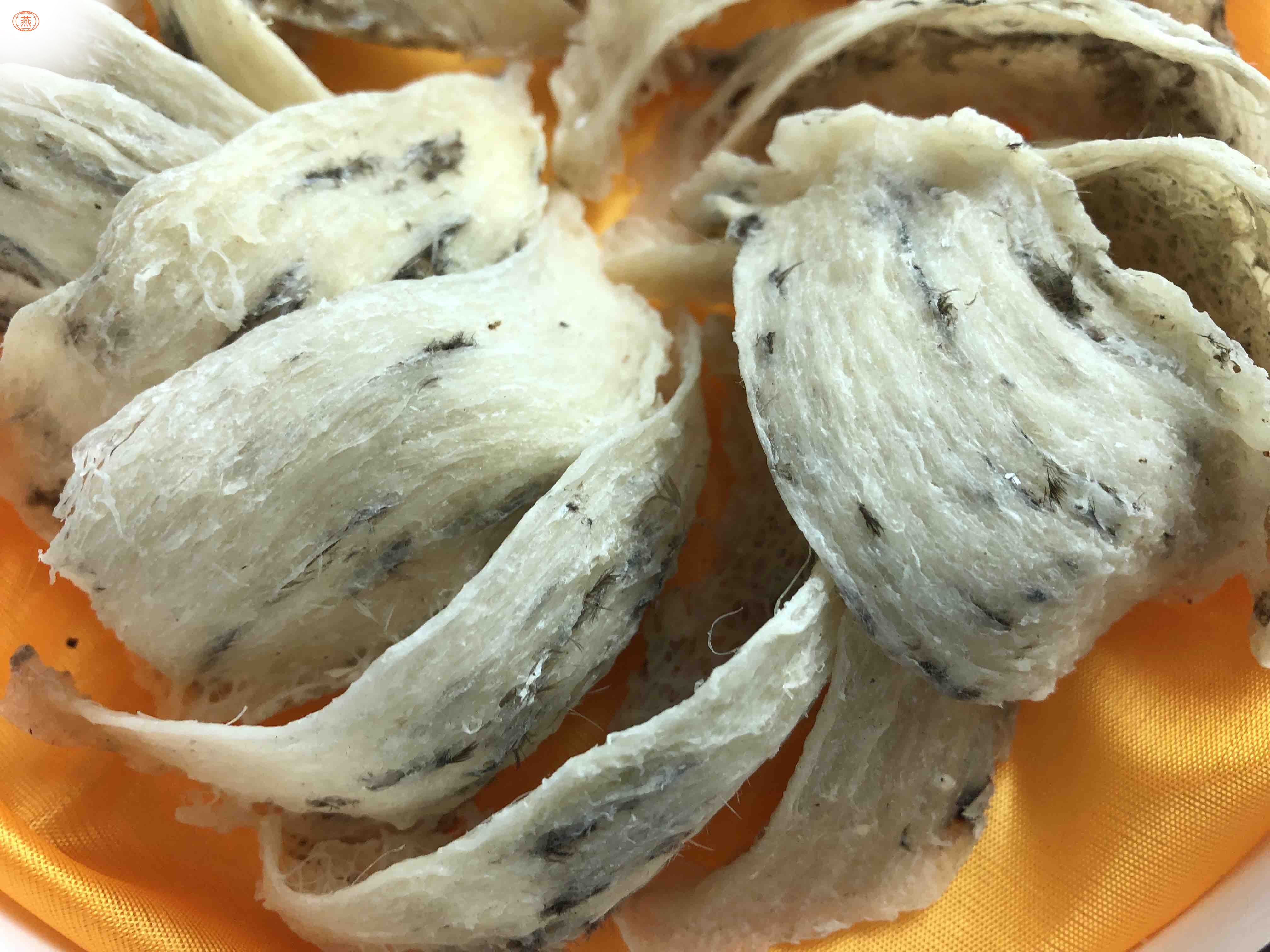 一盏燕窝大概多少克