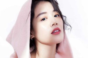 蓝莓可以炖燕窝吗