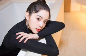 燕窝炖红枣的做法与功效