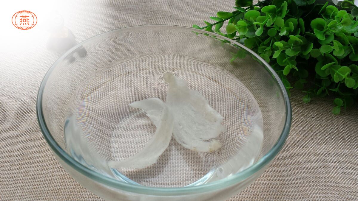 一般燕窝泡多久最好