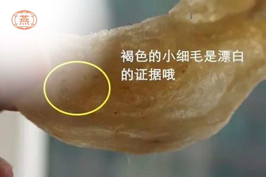 如何区分燕窝是否漂白