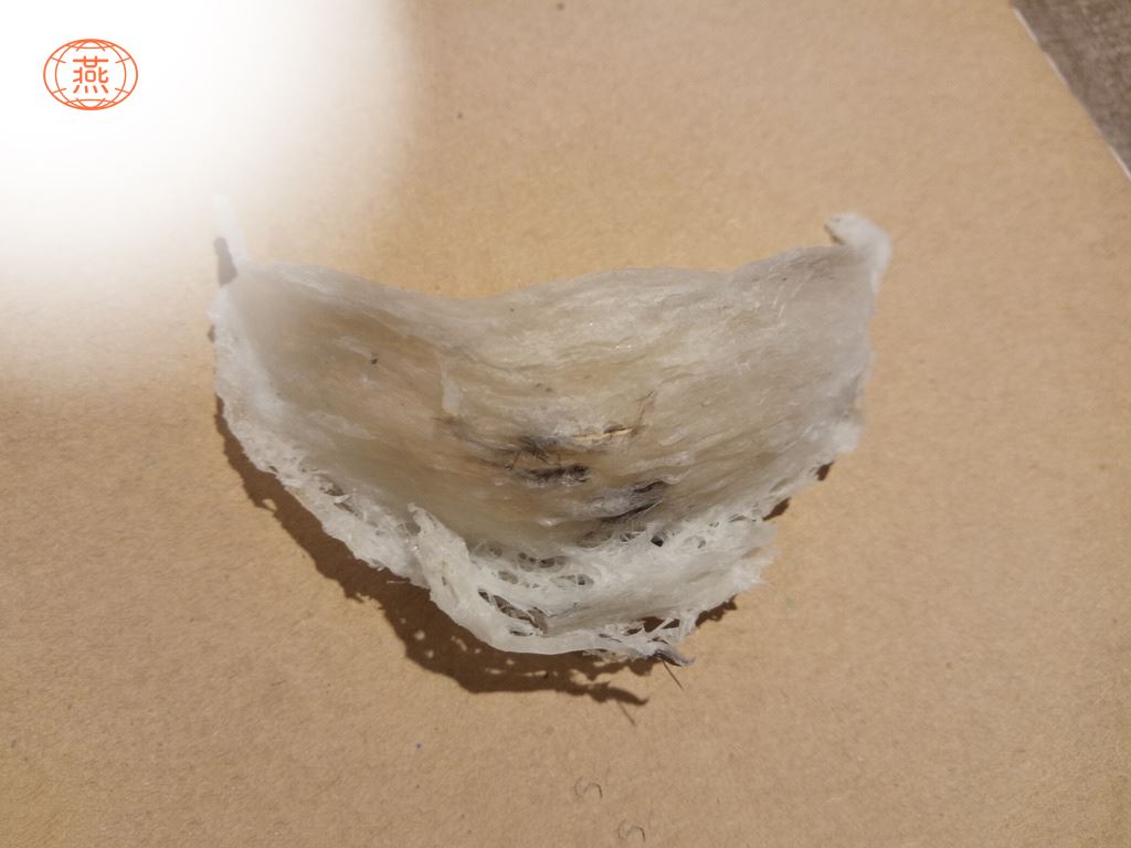 燕窝保存要注意什么？