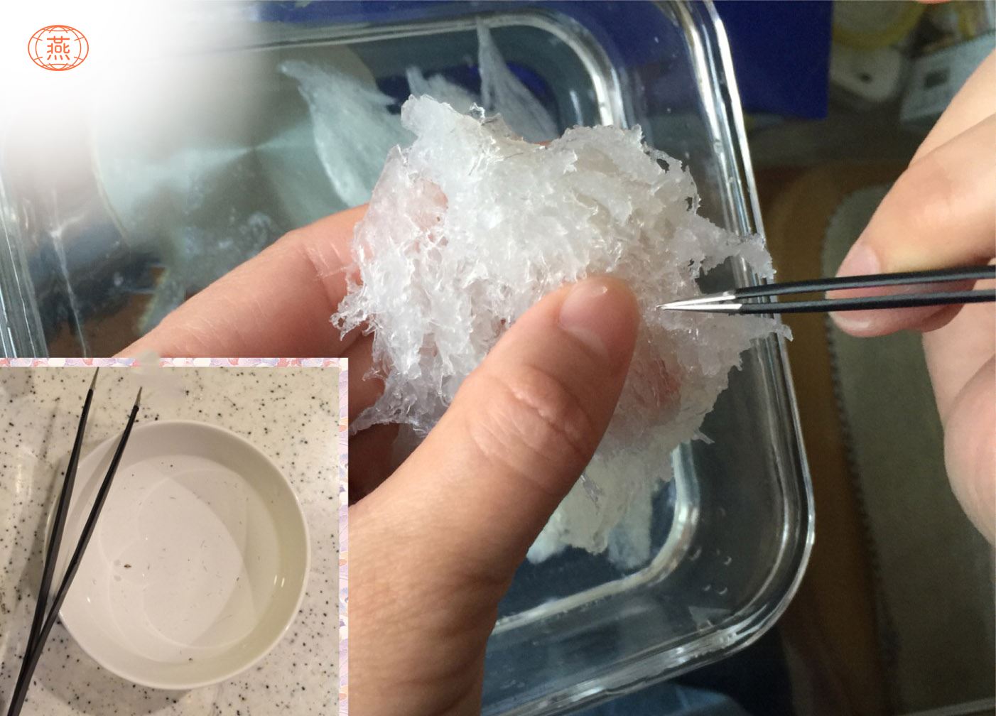 燕窝去毛的方法