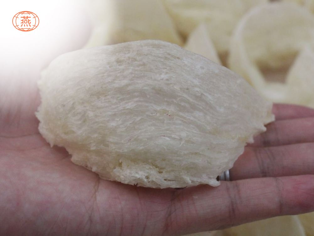 怎么挑选燕窝