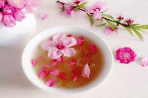 桃花炖燕窝的做法