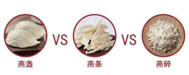 燕窝的分类