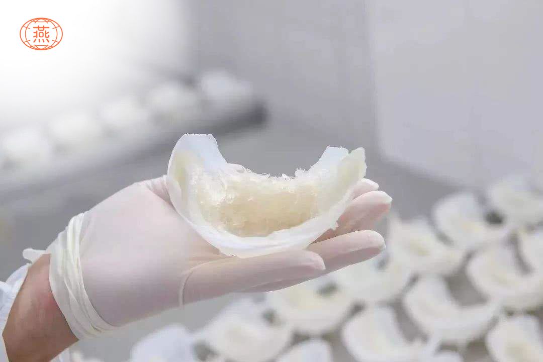 燕窝怎么形成的