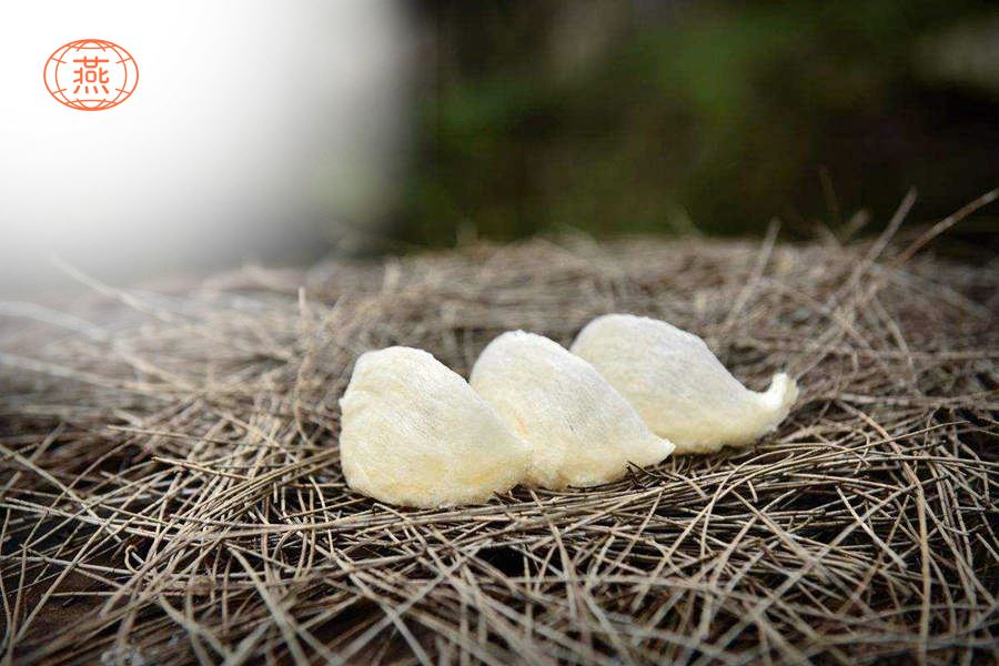 燕窝是不是越大越好