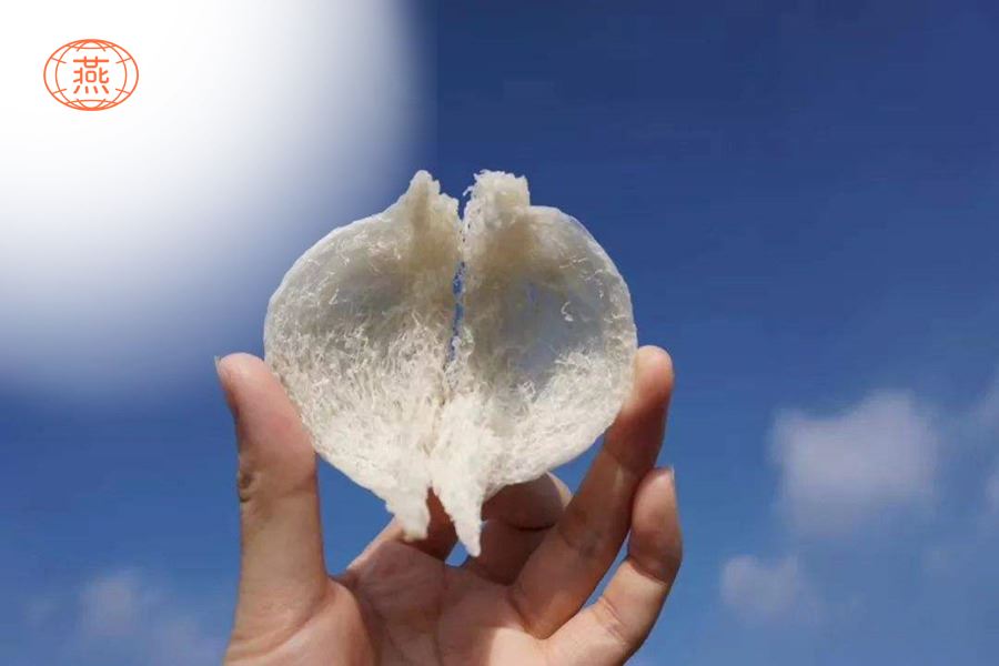 燕窝怎么沥干水分
