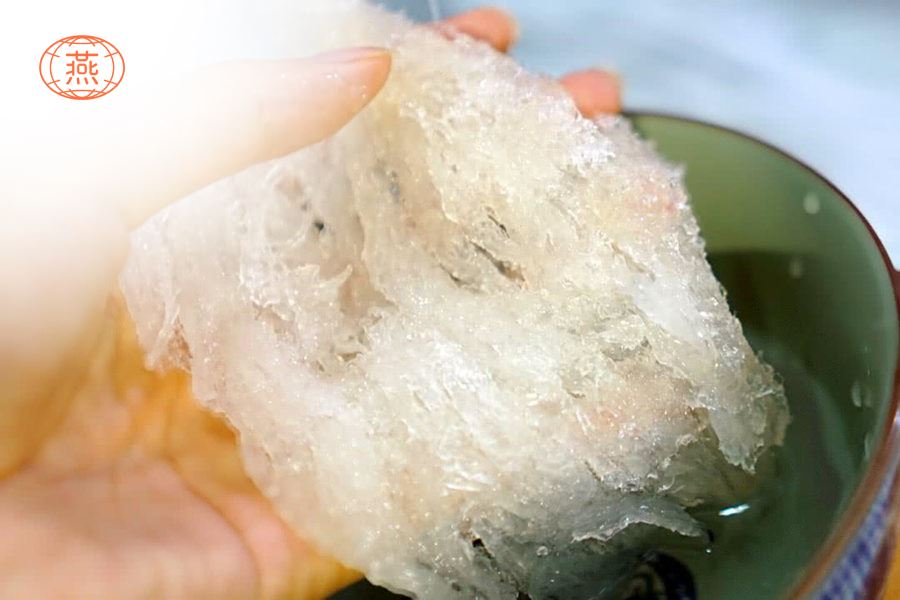 泡好的燕窝能先不煮吗