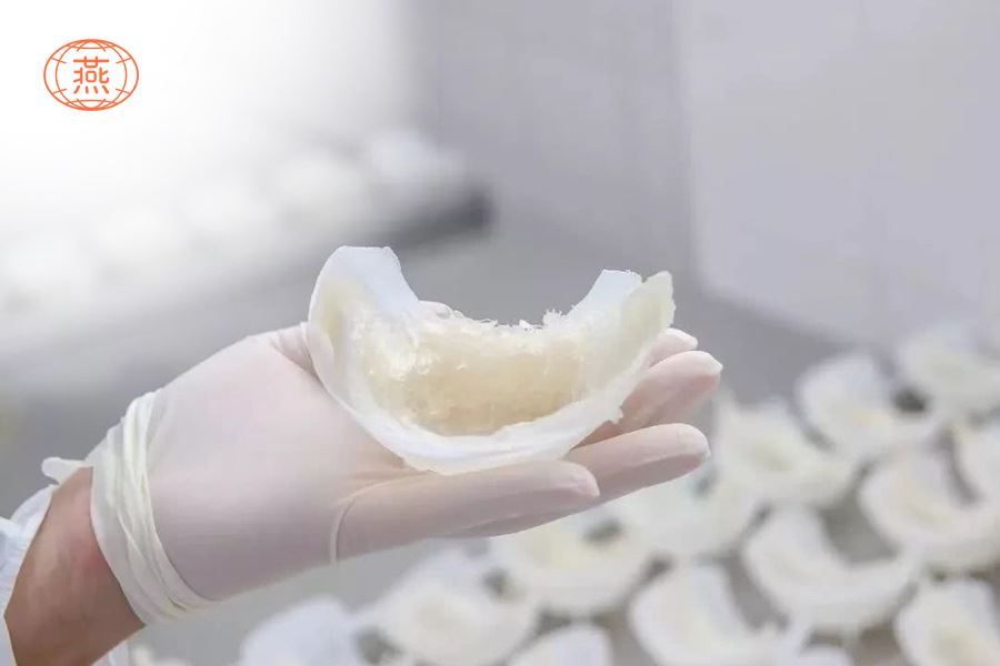 燕窝挑毛好还是不挑毛好