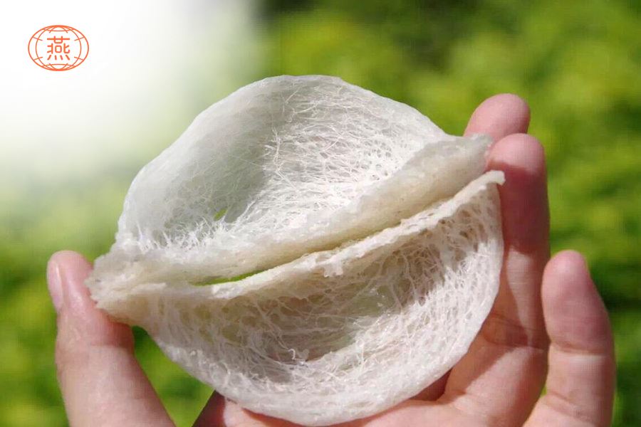 燕窝为什么是滋补品？
