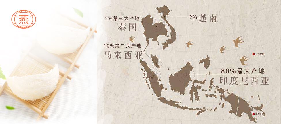 干燕窝哪里的最好
