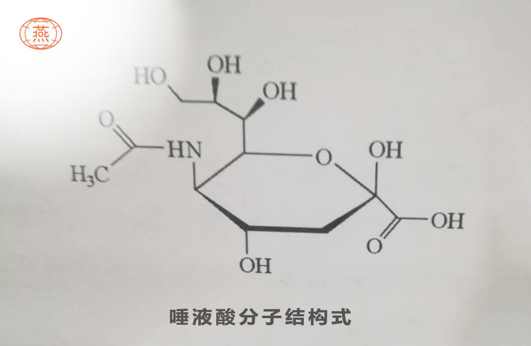 燕窝的成分