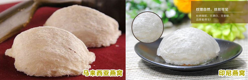 燕窝哪个国家的好