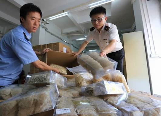 中国近年查获的走私燕窝案