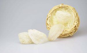 燕条和燕盏的区别