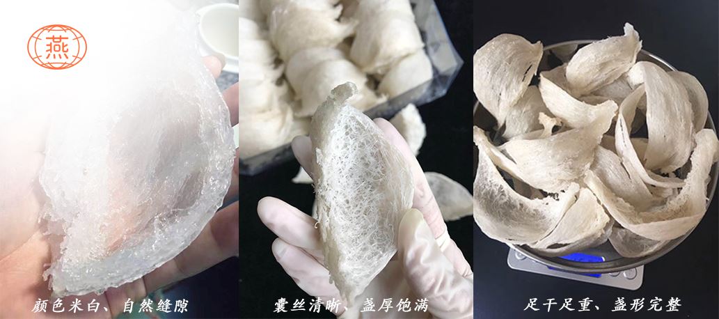 燕窝怎么形成的