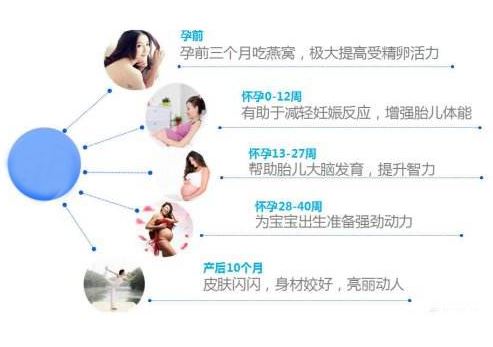 适合孕妇吃的燕窝做法大全