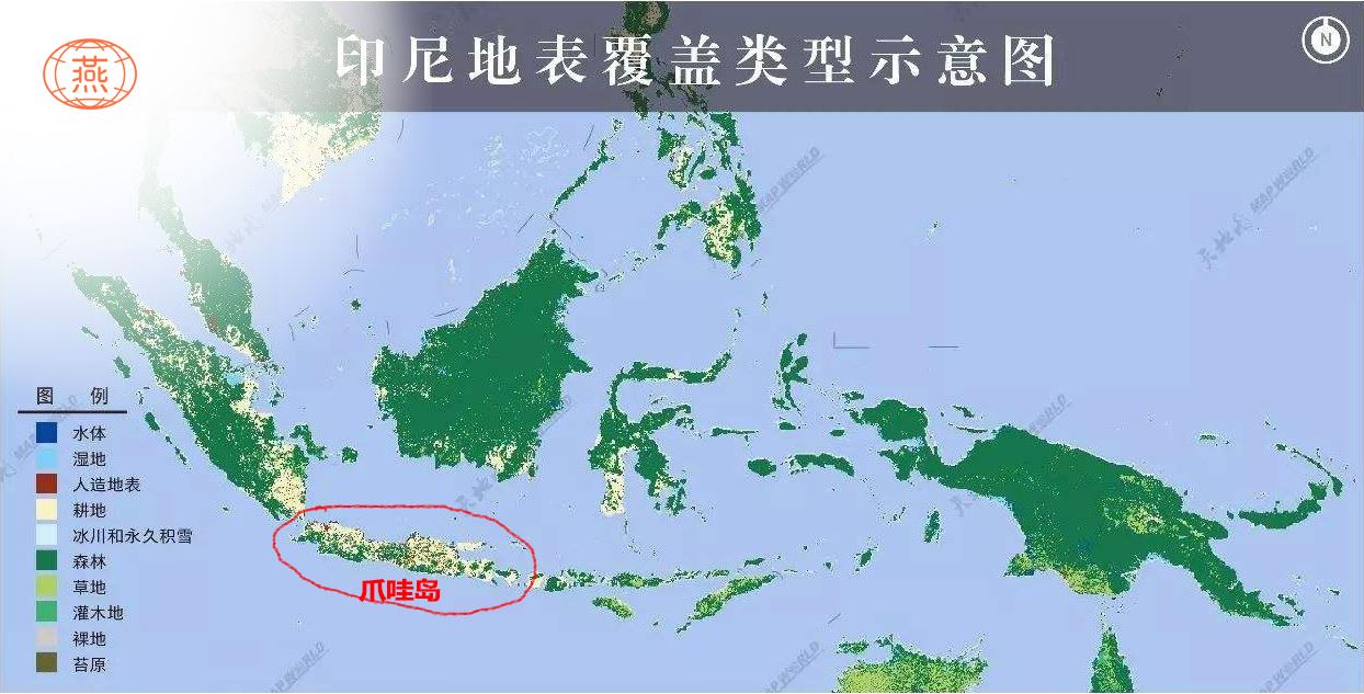 可食用燕窝介绍