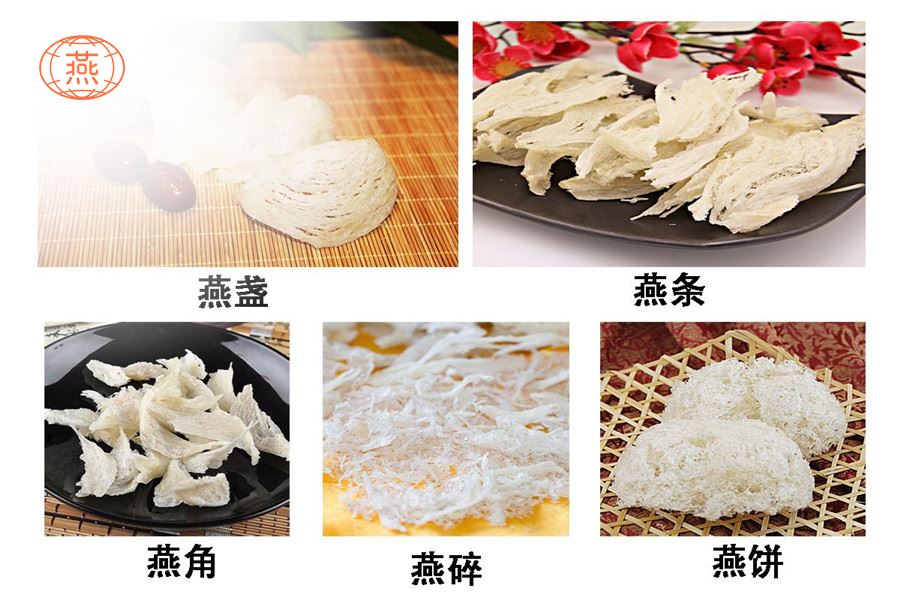 燕窝有多少种